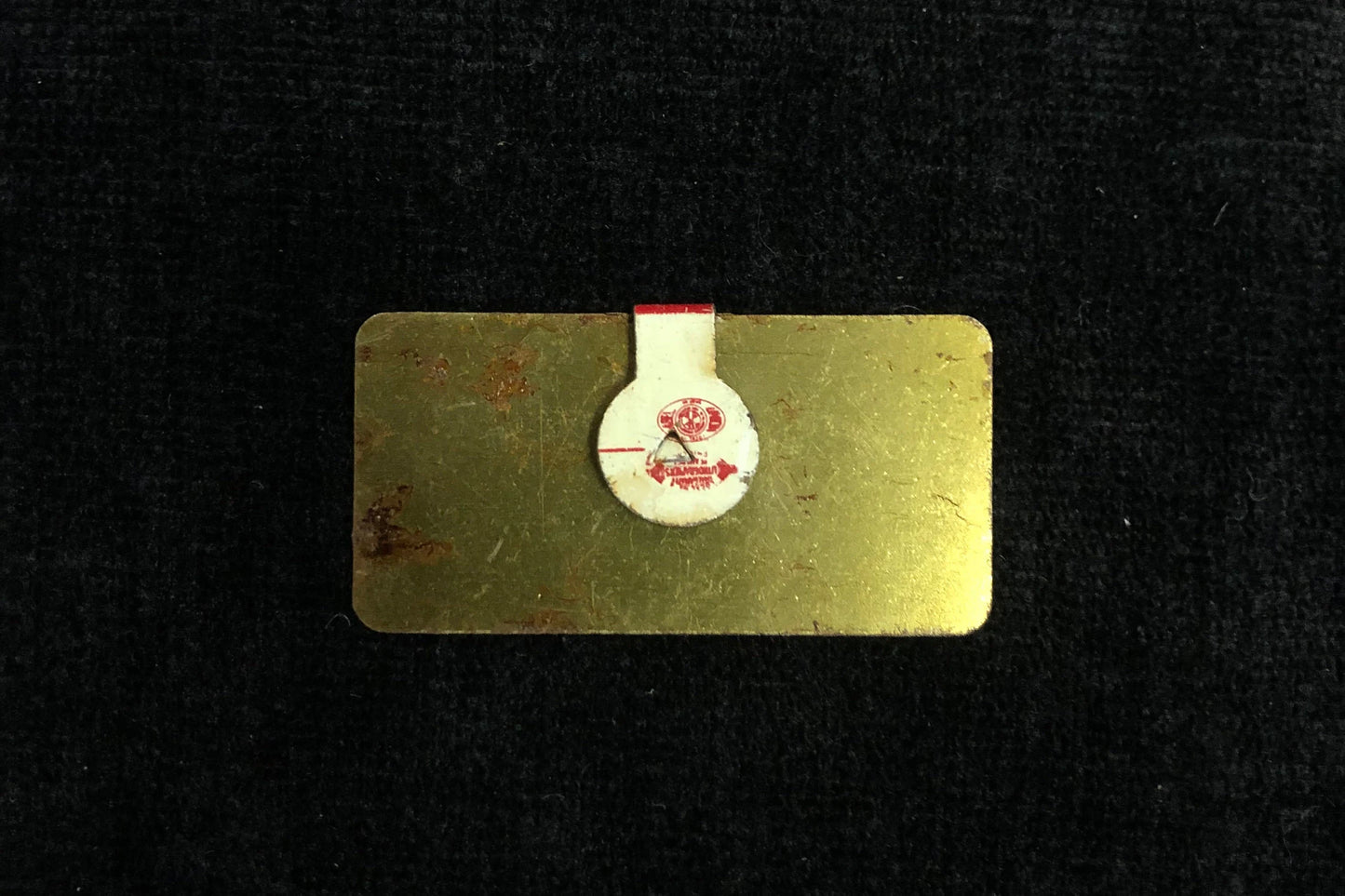 Goldwater and Miller 1964 Presidential Election Pin