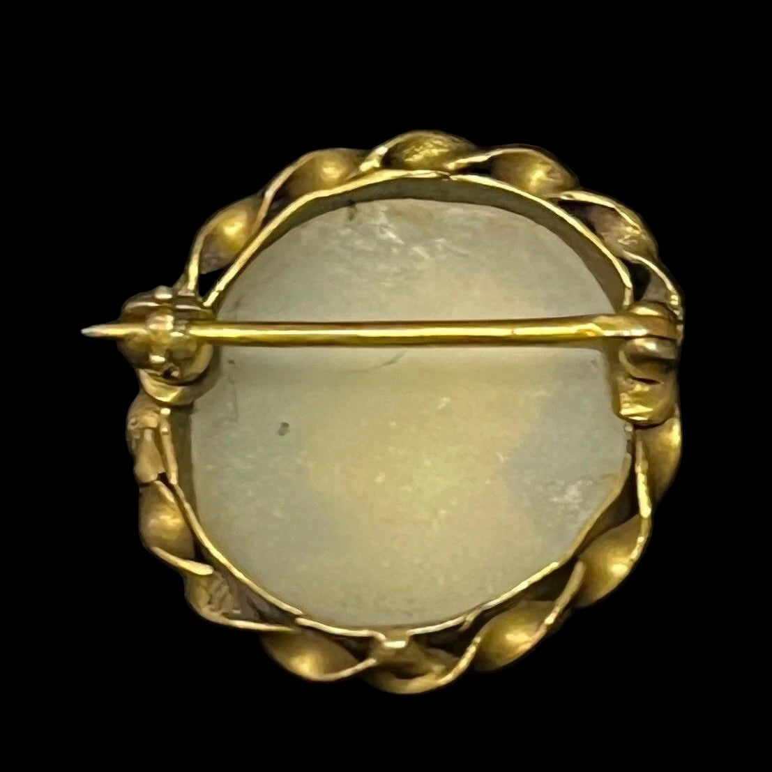 Small Shell Cameo Pin in Hand Worked Gold Frame - Male Profile