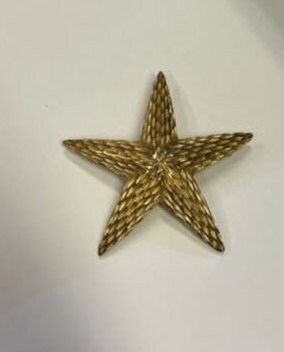 BSK Military Star Brooch - Gold Toned - Vintage