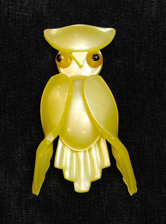 Lucite Owl Brooch/Pin