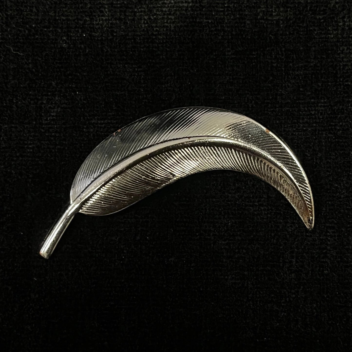 Silver feather-shaped brooch on a black background