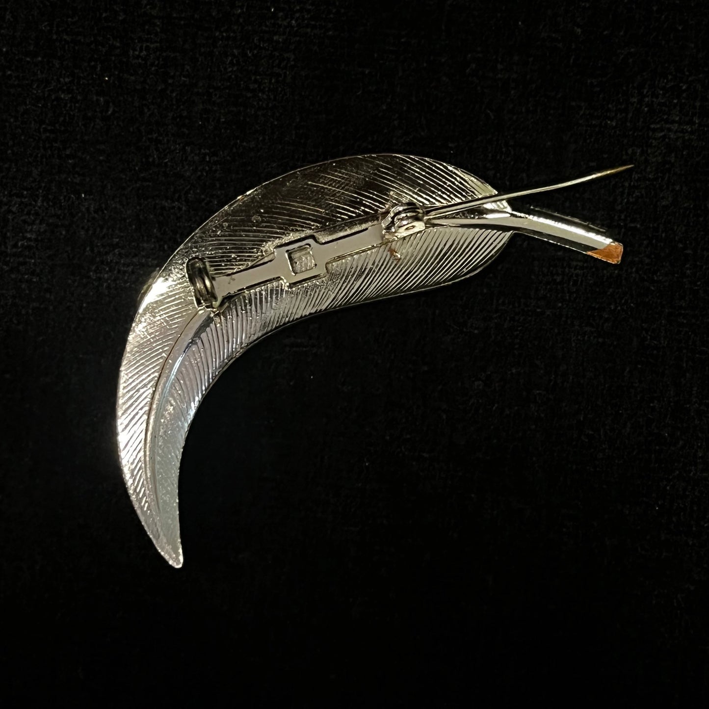 Silver brooch with feather design on a black background