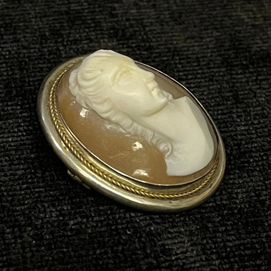 800 Silver (English) Carved Pink Shell Cameo Pendant and Brooch/Pin