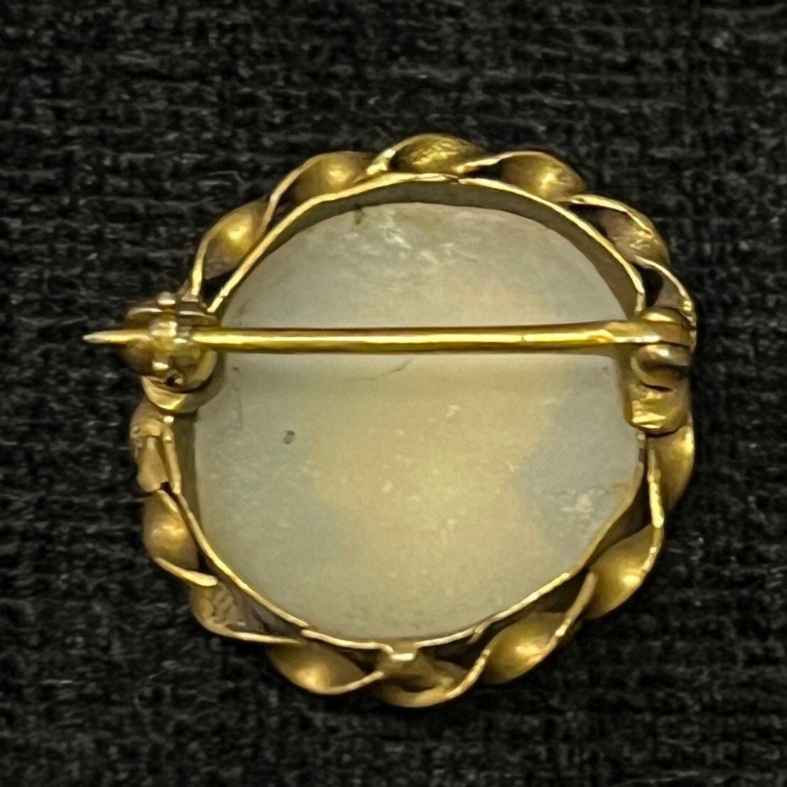 Small Shell Cameo Pin in Hand Worked Gold Frame - Male Profile