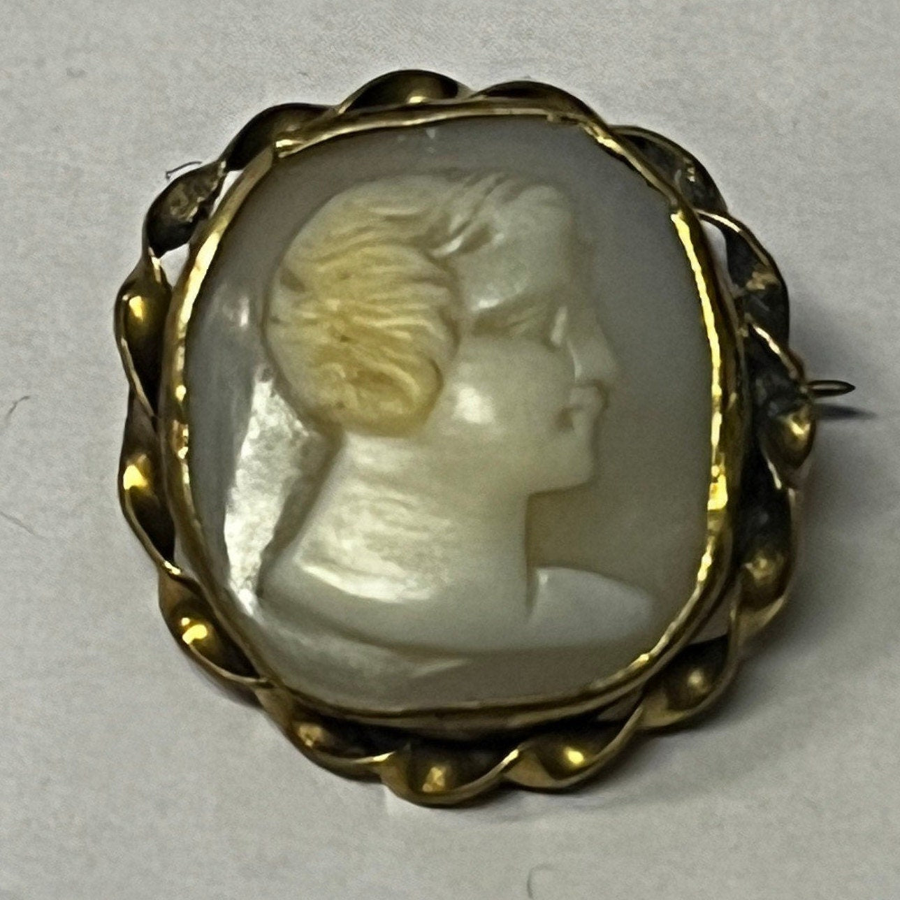Small Shell Cameo Pin in Hand Worked Gold Frame - Male Profile