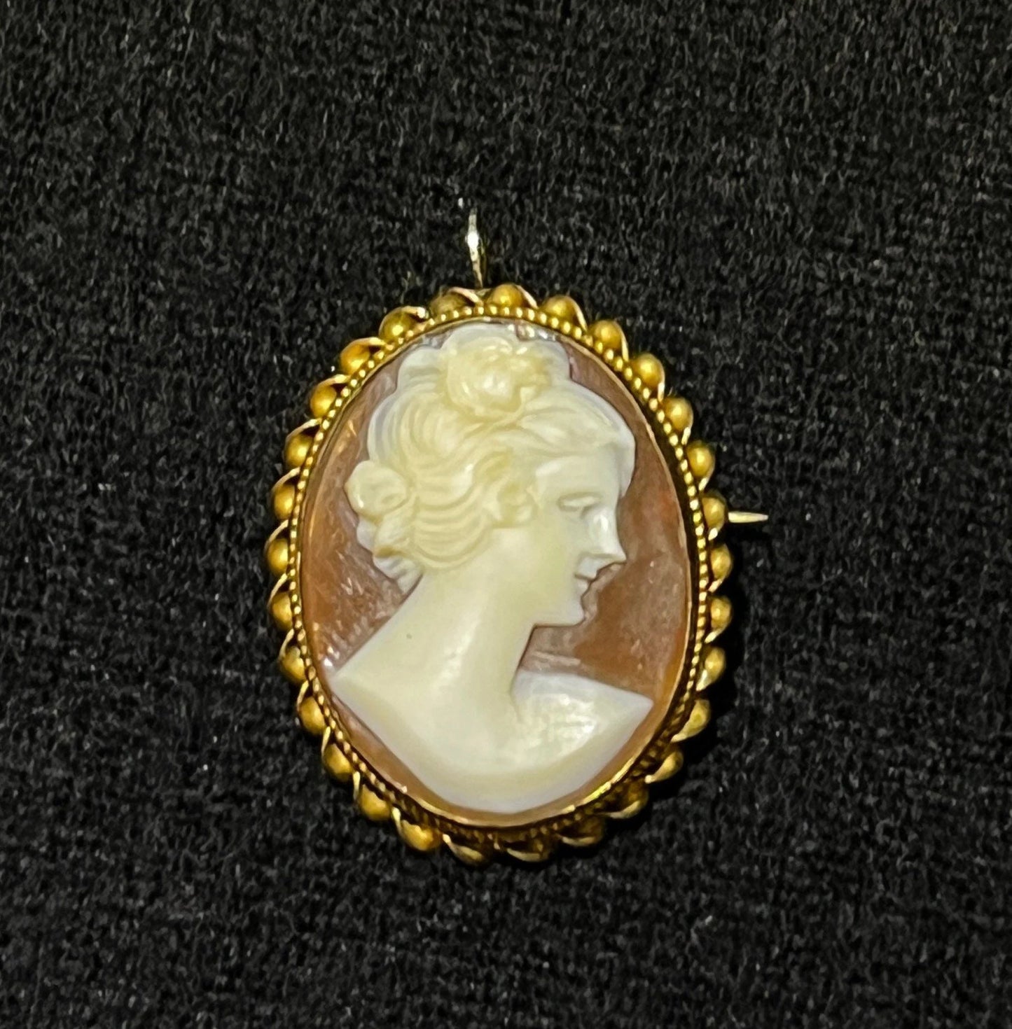 Cameo Pin or Necklace Pendant of Natural Carved Shell in 10K Gold Frame